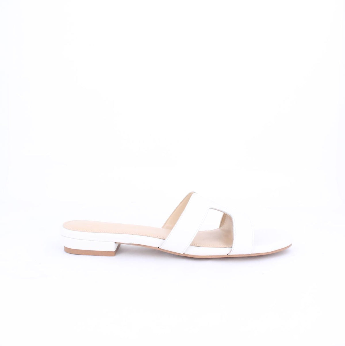 ELAYZA-Slides-flats-WHITE