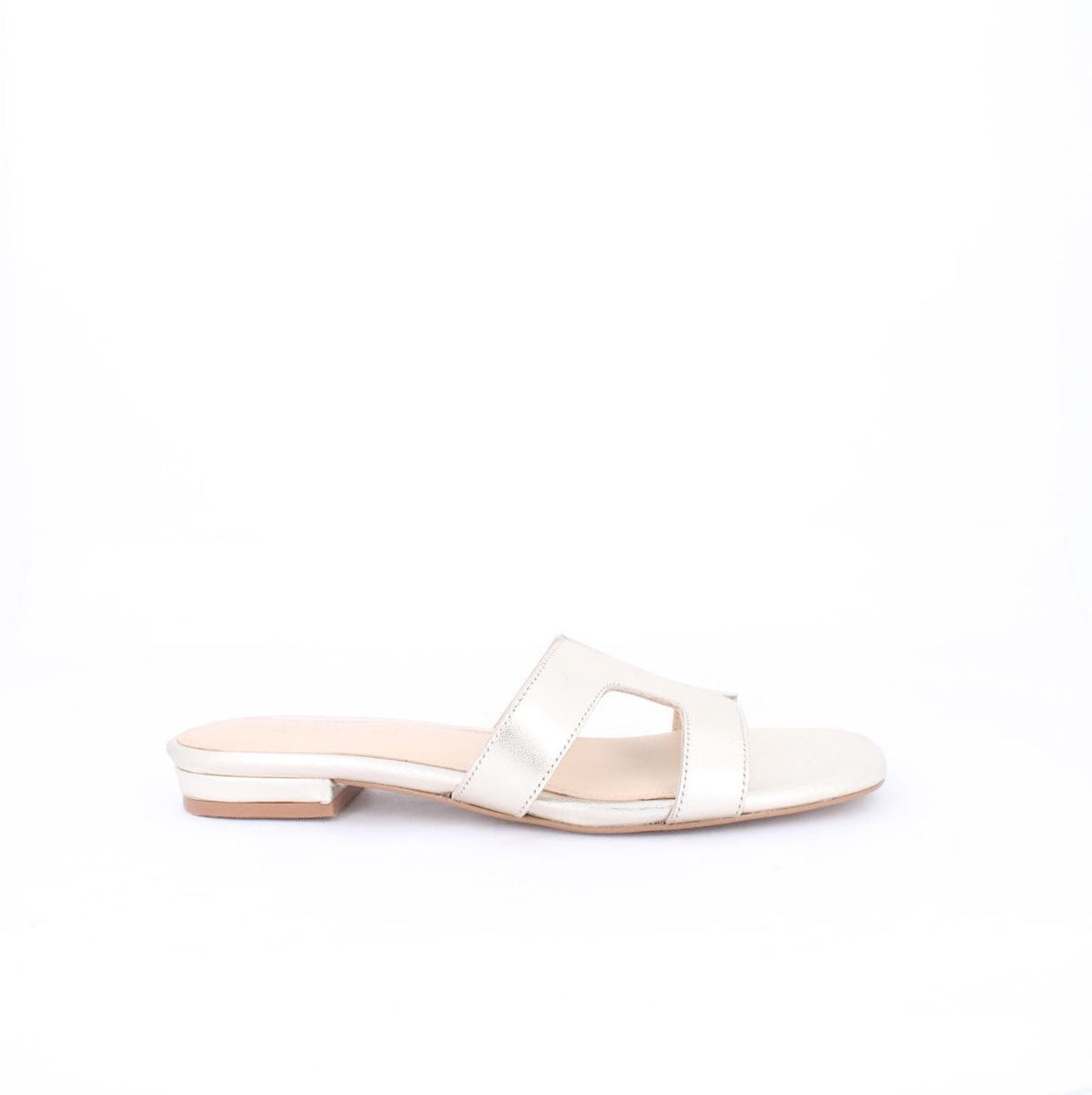 ELAYZA-Slides-flats-GOLD